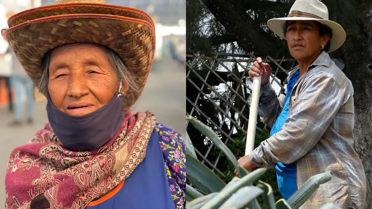 Mujeres en el campo